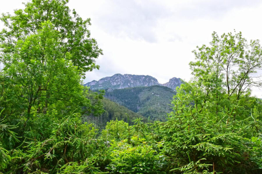 „Willa Halka“ - svečių kambariai Zakopanės centre 09
