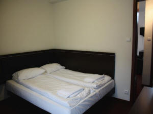 „Willa Halka“ - svečių kambariai Zakopanės centre 29